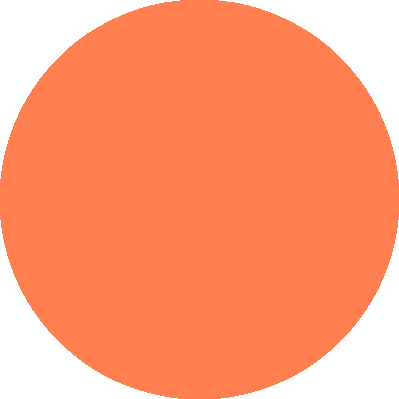 Orange Circle Icon