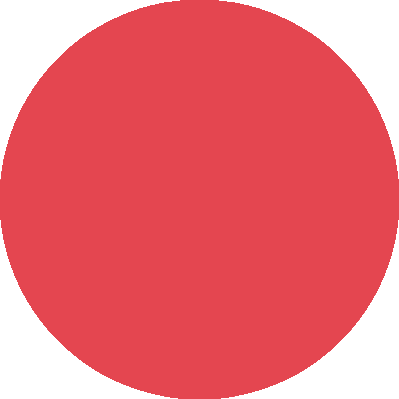 Red Circle Icon